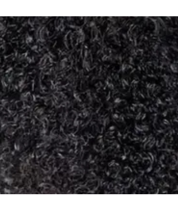 Afro Curly Negro 120g Clip-In Extensiones Kit l'évolution des habitudes 