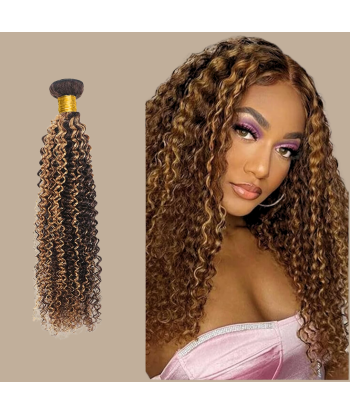 Haarglättung Jungfernhaar Human Hair Kinky Curly 7A Kastanie Méché Blond P4/27 100 Gr Les magasins à Paris