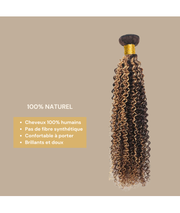 Haarglättung Jungfernhaar Human Hair Kinky Curly 7A Kastanie Méché Blond P4/27 100 Gr Les magasins à Paris