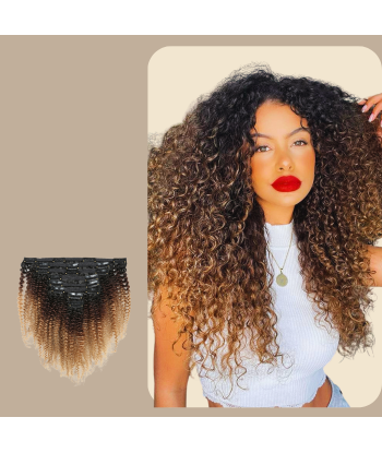 Afro Curly Ombre Brown Chocolate Blonde Clip-In Extensions Kit 120 gr. Toutes les collections ici