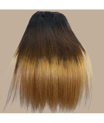 Rett klippforlengelse brun skygge blond sjokolade mono maxime volum Toutes les collections ici