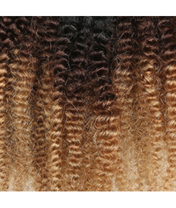 Kit -utvidelser med Afro Curly Blond Chocolate Clips 120 Gr Brown Shadow Faites des économies