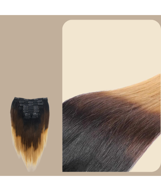 Straight Ombre Brown Chocolate Blonde Clip-In Extensions Kit 120 gr Les magasins à Paris