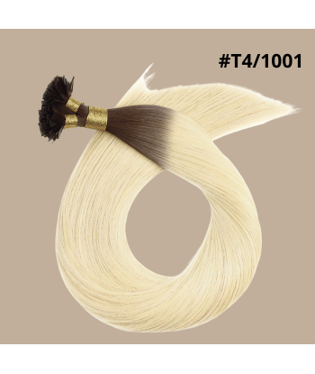 100 Keratin Extensions Rakt Premium med Platt Topp T4/1001 plus qu'un jeu 