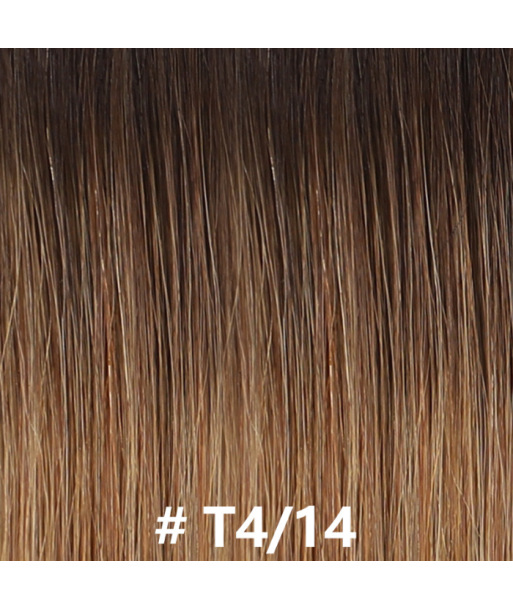 Premium Russian Hair Rak T4/14 votre