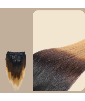 Straight Ombre Bruin Chocolade Blond Clip-In Extensions Kit 120 gr Découvrez la collection