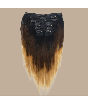 Straight Ombre Bruin Chocolade Blond Clip-In Extensions Kit 120 gr Découvrez la collection