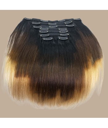 Straight Ombre Bruin Chocolade Blond Clip-In Extensions Kit 120 gr Découvrez la collection