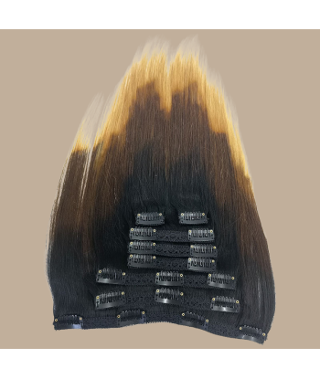 Straight Ombre Bruin Chocolade Blond Clip-In Extensions Kit 120 gr Découvrez la collection