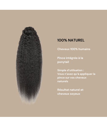 Coda di cavallo castano scuro naturale Clip Remy capelli lisci e perversi les ctes