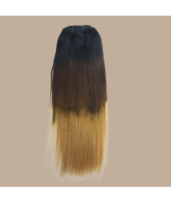 Straight Ombre Brown Chocolate Blonde Clip-In Extensions Kit 120 gr Les magasins à Paris